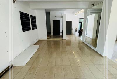 Elegant Show room spațiul de închiriat Aradul nou P+E Arad disponibil - 2
