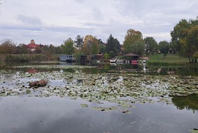 OAZA DE LINISTE SI RAFINAMENT LA MALUL LACULUI - 7