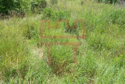 Teren Construcții intravilan de 2515 mp, în Făget