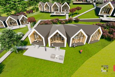 Oportunitate Investitie - Teren Intravilan Zona Viticola - 8