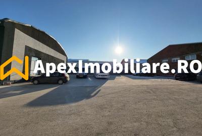 Hala Industriala Xenia – 1800 mp, Acces TIR, Parcare 50 Auto - 6