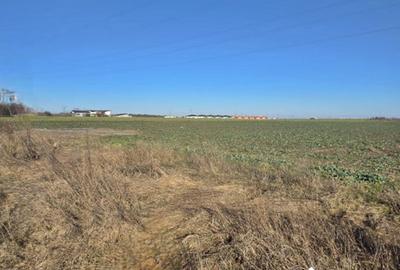 Eforie Nord | Teren cu Potențial | Deschidere mare la șosea - 6