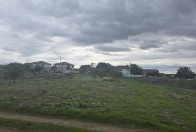 Teren de vanzare in Palazu Mare - 5