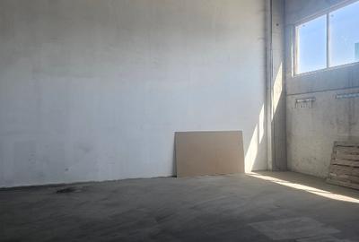 Hala de inchiriat. Depozitare sau productie. - 7