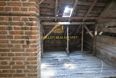 Vila - Ferdinand - Armeneasca -Pache Protopopescu - 19