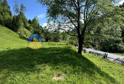 Teren 5777 mp in comuna Ceahlau - 6