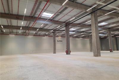 Spatiu Industrial - 2500 mp - Logistica - Productie - Depozitare - Distributie - 8