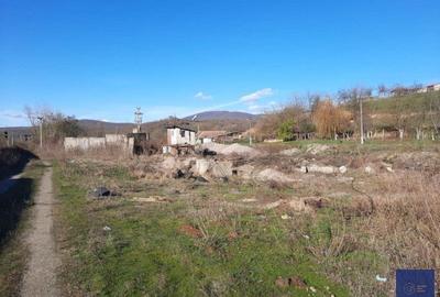 Spatiu de productie, fosta balastiera, Conop, 9100 mp - 4