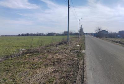 Teren Construcții intravilan de 8650 mp, în Cernica