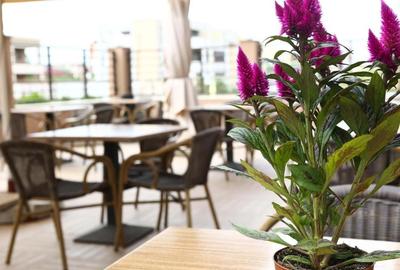 HOTEL 3 STELE, 5 NIVELE, MAMAIA NORD KM 0 ZONA ALEZZI - 9