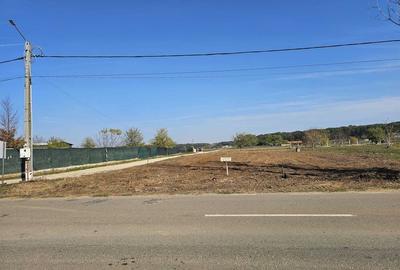 Teren intravilan de vanzare in Izvorani | Loturi de 500 mp si 1500 mp - 3