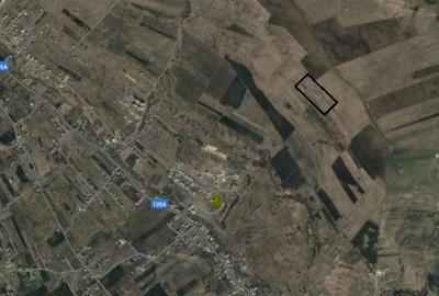 Teren extravilan de vanzare, 16810 mp, zona Valea Chintaului - 2
