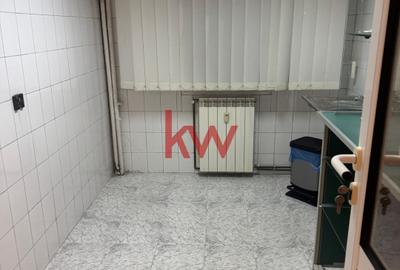 Spatiu comercial la bulevard, cu vad intens, Podu Ros, liber! - 12