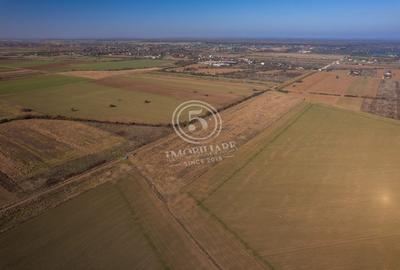 Ocazie- Teren Intravilan de Vanzare- Peris Snagov- Doar 10 euro/mp - 17
