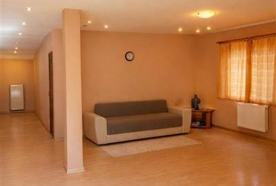 Casa potential:locuire multifamiliala,activitati comerciale,birouri,677 mp teren - 12