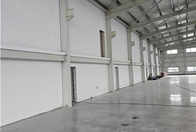 Spatiu Industrial - 1250 mp - Depozitare - Distributie - 15