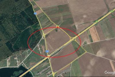 Teren Construcții intravilan de 12300 mp, în Brănești