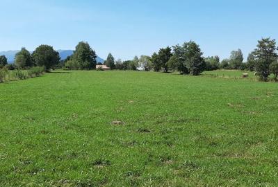 Teren 9350 mp Bran Livada, Extravilan - 5