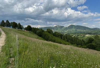 Teren inconjurat de natura de vanzare in Pestera - 5