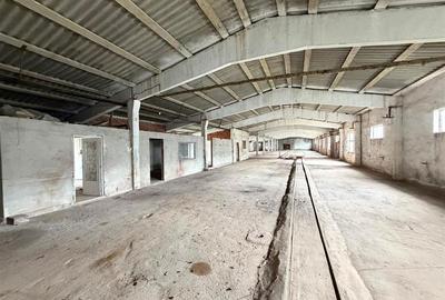 HALE INDUSTRIALE | CLADIRE BIROURI | TEREN 7000 MP | GHEGHIE BIHOR - 9