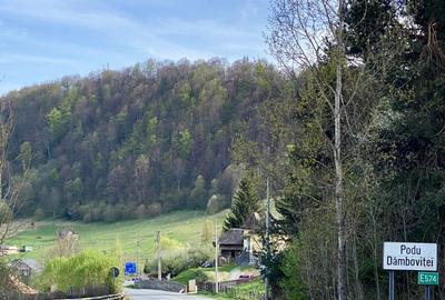 Teren panoramic însorit, utilități, panta mica si pădure, turism sau vacanță - 18