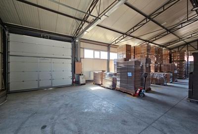 Hale Industriale 5065 mp de vanzare Str. Bradului - Bacau - 11