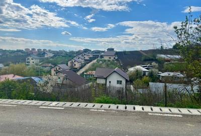 Teren intravilan 1000mp Valea Lupului la 1,2km de E85 apa canalizare PE TEREN! - 6