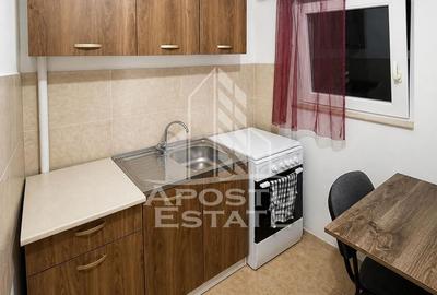 Apartament 1 camera zona Micalaca - 2