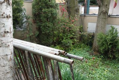 Pache Protopopescu-Agricultori-Matasari - 19