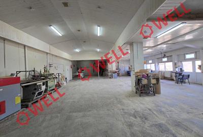 Hală industrială de vânzare în Sita Buzăului! - 7