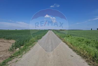 Vanzare teren intravilan parcelat, in Branesti langa - Autostrada A2 - 13