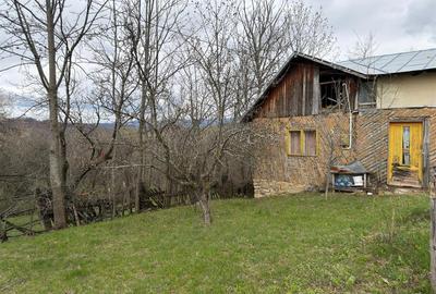 Teren intravilan 1518 mp, constructie, Sotrile, Prahova - 24 EUR/mp - 4