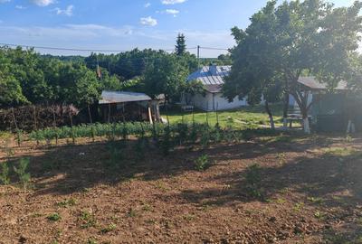 VANZARE CASA INDIVIDUALA - 6