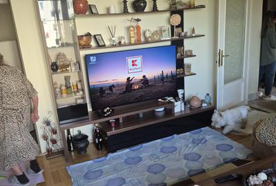 3Camere Ion Mihalache - 8