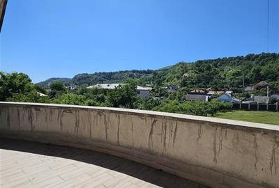 TEREN INTRAVILAN DEVANZARE 33161 MP DE VANZARE TARGU OCNA - 26