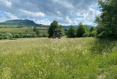 Teren agricol extravilan de 6500 mp, în Cușma