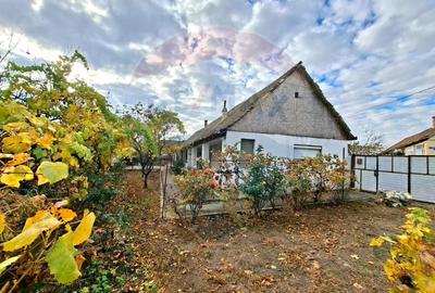 Casa veche cu teren 929 mp- oportunitate in Vladimirescu- comision 0% - 3