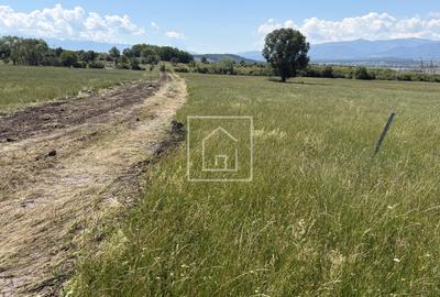 Teren lângă Sibiu zona Dealul Daii - 5