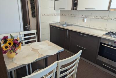 Apartament 7 minute de metrou Mihai Bravu/Dristor - 3
