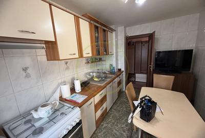 Apartament 4 camere, 95.80 mp, cartier Brazda lui Novac, zona Păltiniș - 10