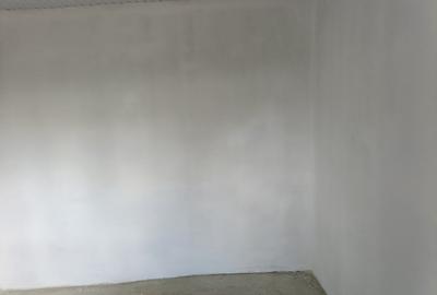 Vand casa batraneasca renovata Romanesti Iasi - 6