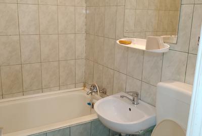 Apartament 2 camere decomandat Giurgiului - Toporasi - 8