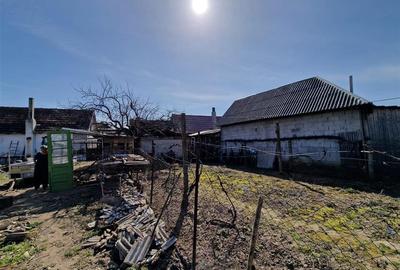 Teren mare cu 2 case in Sabolciu, com. Sacadat - 22