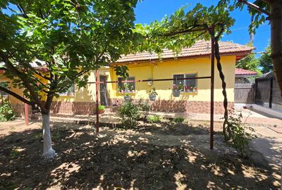 Coiciu - Casa 5 camere (constructie mixta ) + teren 345 mp - 18