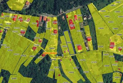 Platou - Posada - 1755 mp - 6