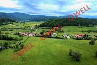 Teren extravilan de vânzare în Barcani, sat Sărămaș! - 5