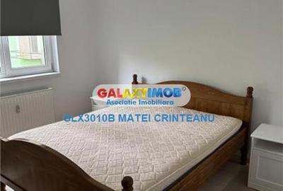 Apartament 2 camere de inchiriat zona Gorjului - 9