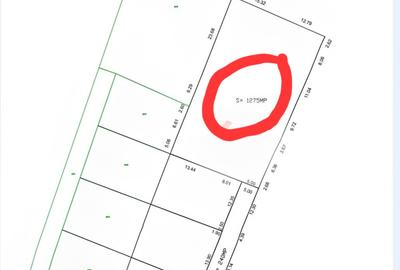 Teren de vanzare Paulesti - 5