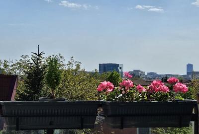 Penthouse PIPERA | Lift Direct în Apartament | 3 Terase Panoramice | - 10