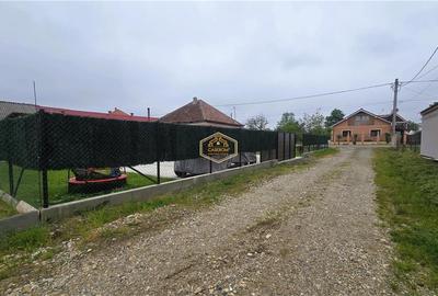 VIDEO | Casa cu teren generos si deschidere la 3 strazi | 10 minute de Satu Mare - 23
